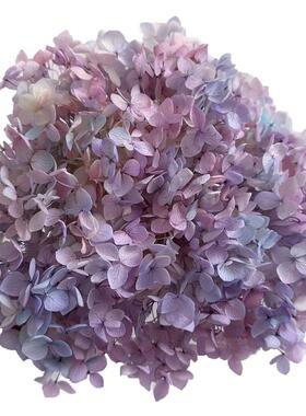 永生花绣球安娜渐变色A级小叶