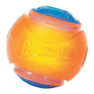 petmate美国狗狗玩具球chuckit互动训练耐咬户外发声定位橡胶球