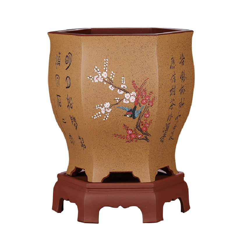 兰花花盆君子兰六方大花蕙兰花盆