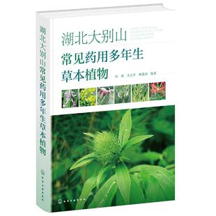 湖北大别山常见药用多年生草本植物 植物种名识别特征释名解义入药部位性味功效经方验方应用例证中成药应用例证现代临床应用书籍