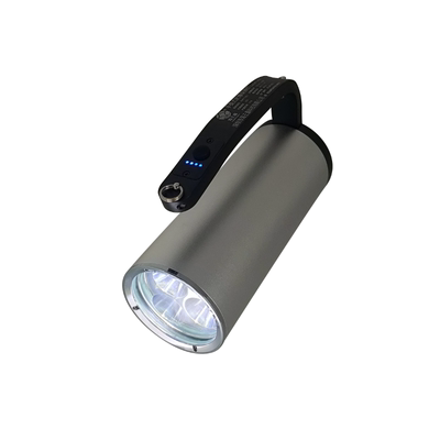 海王鑫RWX7102led防爆探照灯