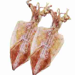 2号北海特产大号淡晒手撕酒吧烧烤鱿鱼干母干特大头须货专用干尤