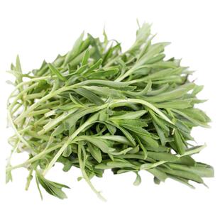 养心菜种子种籽救心菜蔬菜苗四季种苗盆栽阳台孑菜苗高钙植物种业