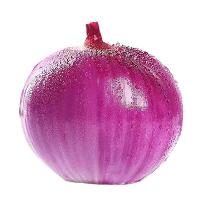 新鲜紫洋葱头现挖现发农家自种蔬菜可作水果吃脆甜汁水饱满蔬菜