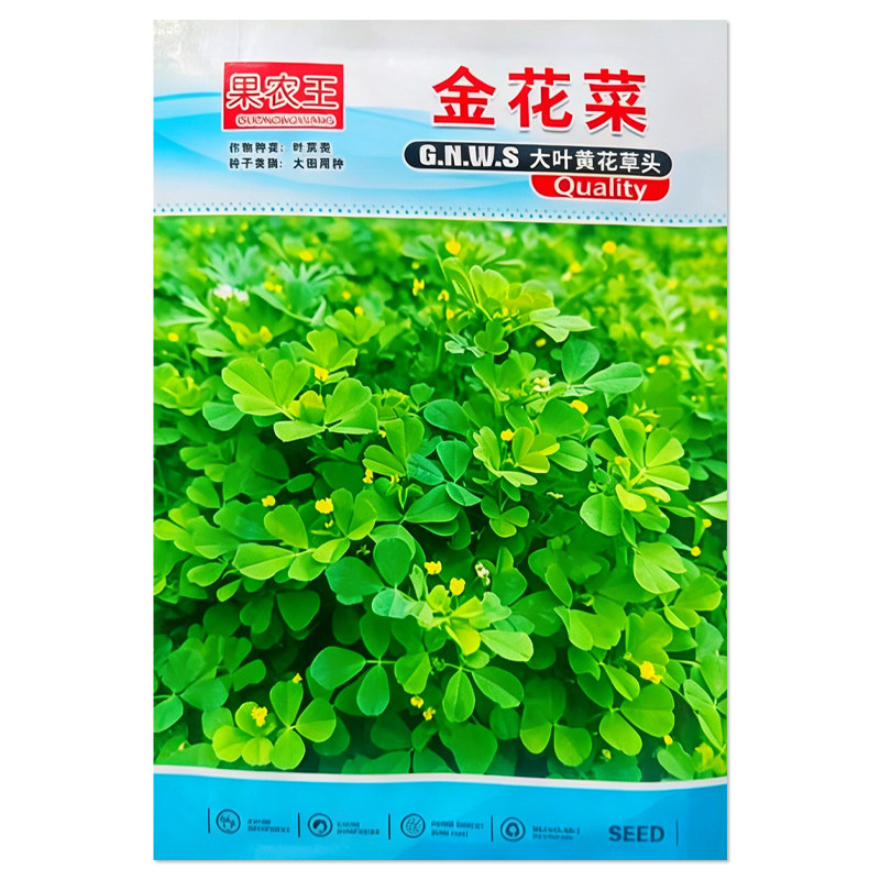 金花菜种子苜蓿菜大叶黄花草头