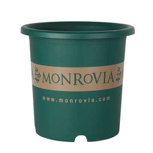 加厚特大号6/7/15加仑花盆树脂塑料蓝莓树月季绣球控根青山透气盆