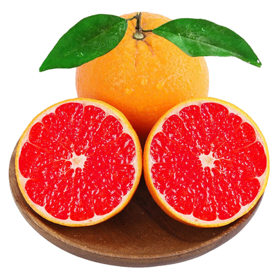 「官方推荐」正宗中华红血橙