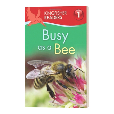英文原版 Kingfisher Readers L1 Busy as a Bee翠鸟分级读物系列L1 英文版 进口英语原版书籍