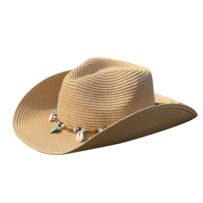 出游牛仔帽草帽休闲弯沿春夏