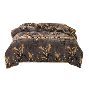 丝绵被子送加绒被套保暖法莱绒牛奶绒宿舍双人春秋被芯冬单人棉被