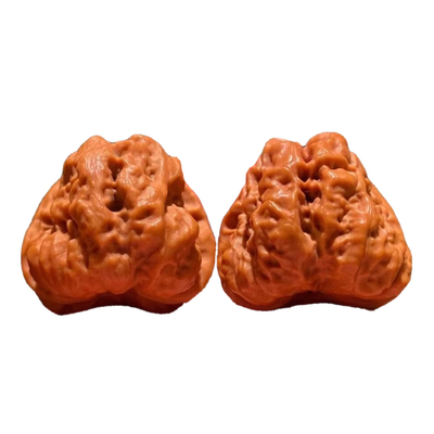 【精品】金蟾蛤蟆头文玩核桃