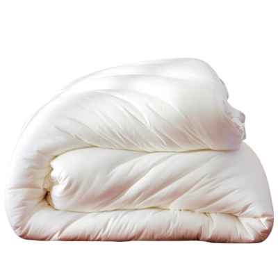 床香柔2025新款轻奢桑蚕丝子母被