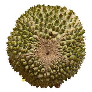 马来西亚D200黑刺榴莲液氮冷冻保鲜顺丰包邮