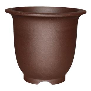 金钟紫砂花盆兰花盆君子兰专用盆发财树盆景盆带托盘口径25cm套盆