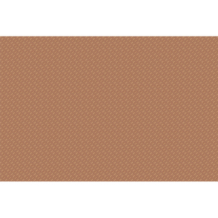 夏季凉席地垫客厅地毯家用卧室床边毯榻榻米飘窗垫加厚防滑藤席垫