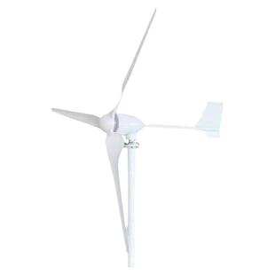 800/1000W家用养殖山区小型迷你风机发电机48V96V风光互补发电