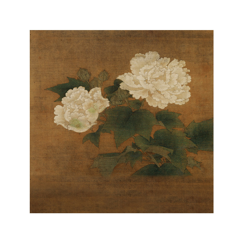 影楼复古白芙蓉背景布拍照摄影