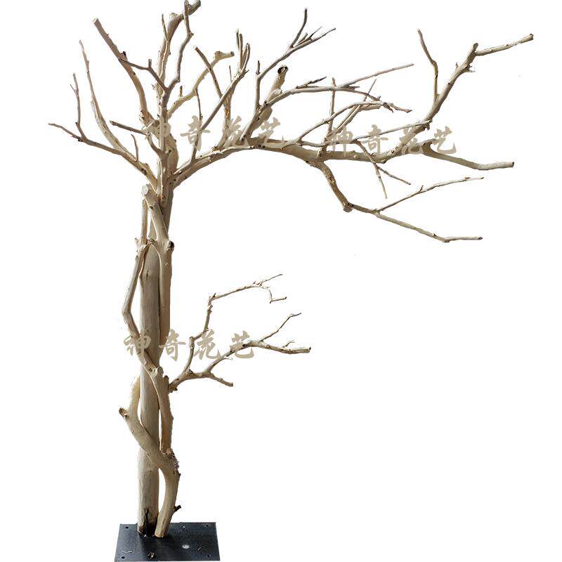 仿真枯树大型造型干枝真树干假树猫爬树道具树许愿树店面装饰枝杈