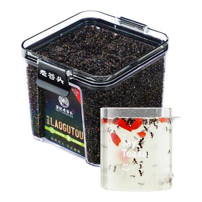 长白山黑蚂蚁营养蚁酸春蚁无硫滋补黑蚂蚁