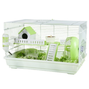 养二只小仓苍鼠笼子专用便宜大的金丝熊60基础笼特大空间号双人铁