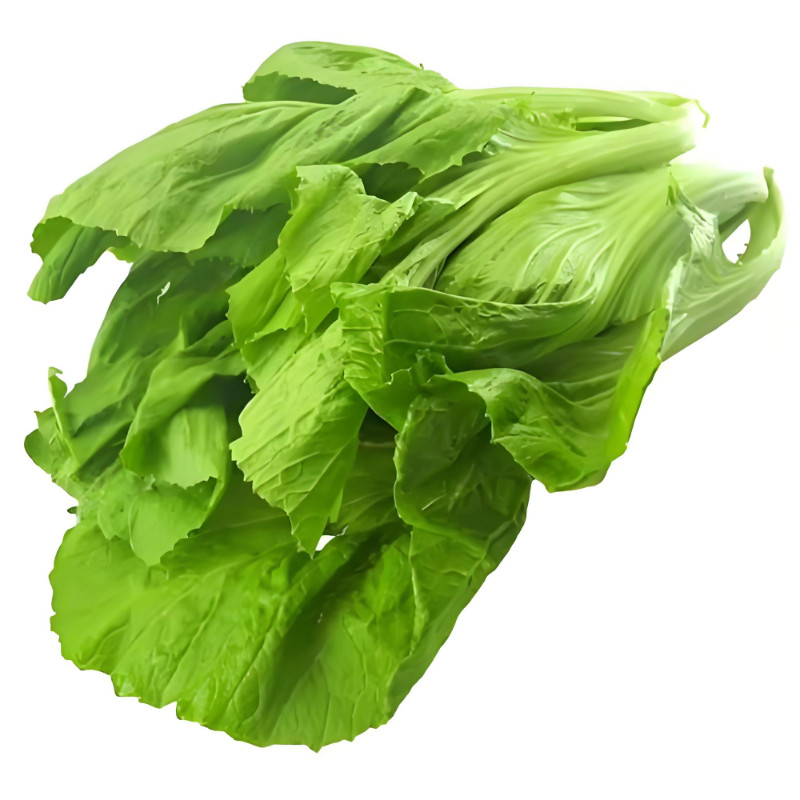 大叶甜芥菜种子蔬菜种子