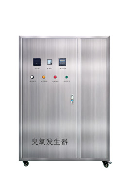 工业臭氧发生器高浓度水产养殖场杀菌食品厂灭菌车间桶装水消毒器