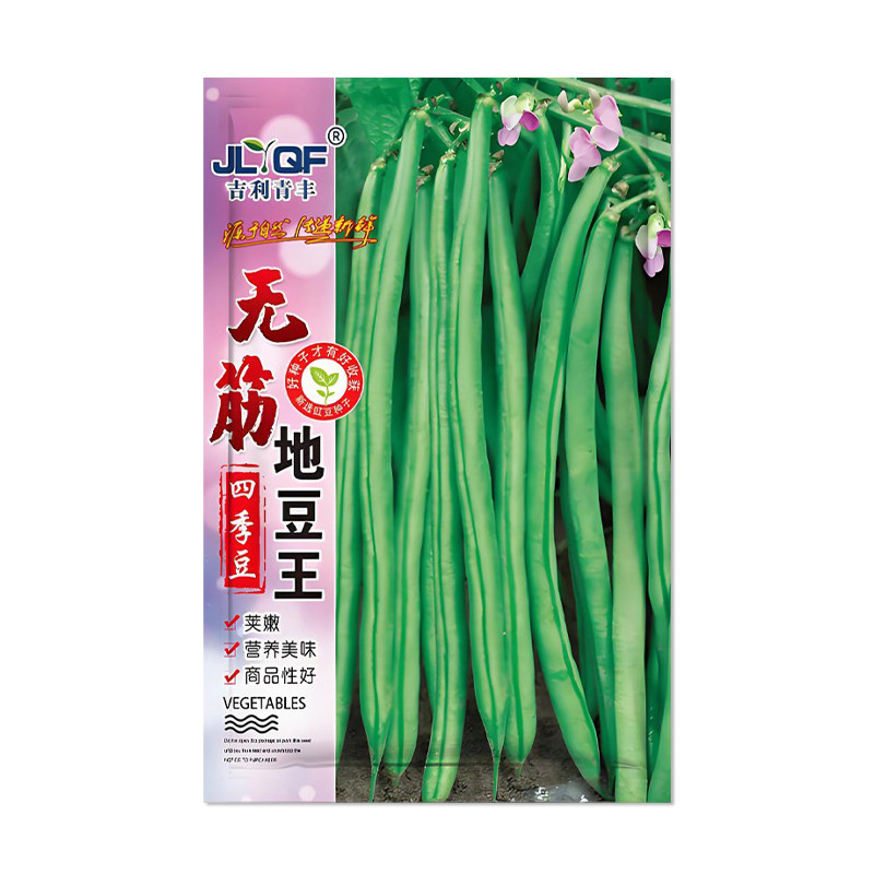 吉利青丰无筋地豆王四季豆种子
