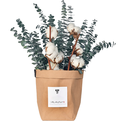 ins可水洗牛皮纸袋鬼怪尤加利叶