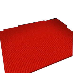 家用红色地垫入户门门口进门喜庆中式防滑可裁剪脚垫地垫地毯