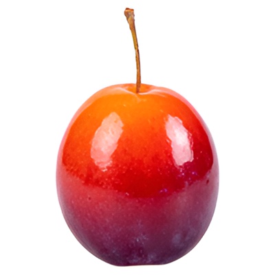 欧李果苗钙果苗鲜果中华钙果补钙