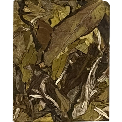 福鼎白茶牡丹小方片简单方便