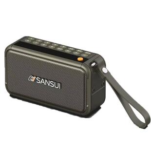 山水F30 便携FM收音机蓝牙插卡U盘太极晨练音箱双喇叭低音炮听书