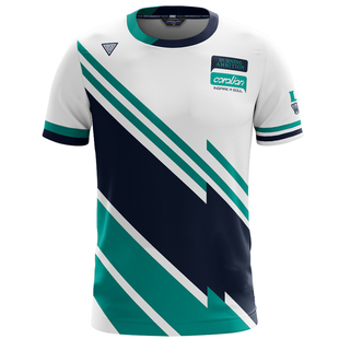 可莱安羽毛球服女套装夏季新品韩国透气速干短袖男上衣时尚运动服