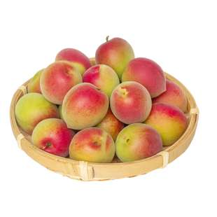 新鲜胭脂梅现摘诏安青梅鲜果高山野生红梅泡酒酵素生酸脆梅子5斤