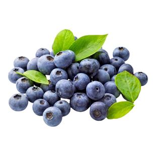 海蒂的花园蓝莓树果苗盆栽果树南方北方带阳台庭院地栽苗海妈家