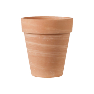 帝罗马花盆bdbf官方店蝴蝶兰多肉专用白色红陶摩卡deroma陶瓷陶盆