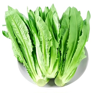 云南新鲜油麦菜香麦菜凤尾菜青莴笋叶莜麦菜当季时令节青菜蔬菜