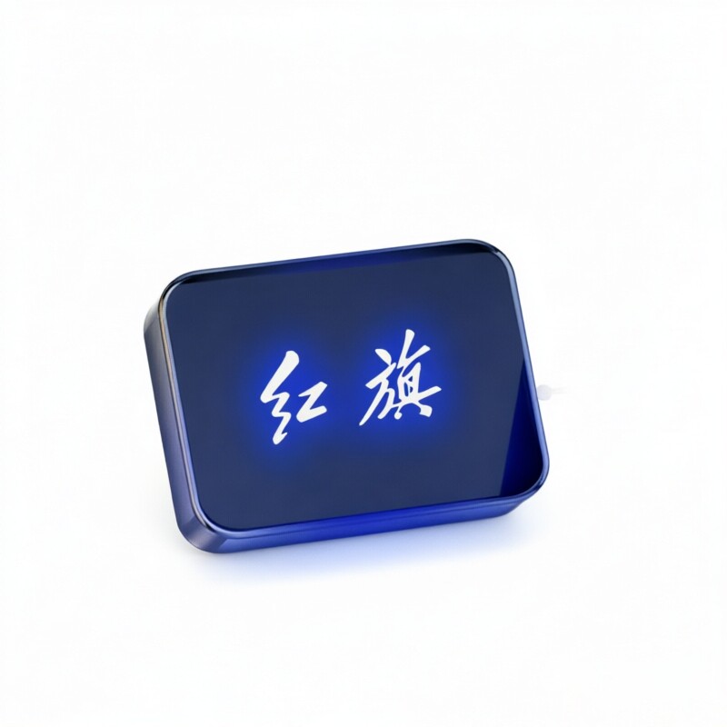 红旗行车记录仪哨兵U盘
