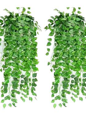 仿真绿植常青藤塑料爬山虎绿叶藤