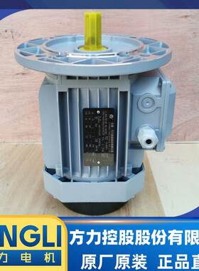 方力电机三相380V电动机FL-100L1-4-2.2KW国标全新全铜线铝壳电机