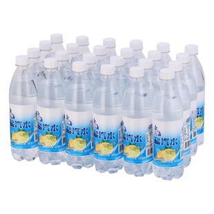 上海盐汽水600ml*24瓶装解渴补盐碳酸饮料整箱柠檬大瓶夏日气泡