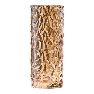 玻璃花瓶客厅插花加厚轻奢高级感简约摆件富贵竹专用大号水晶花瓶