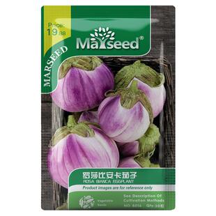 【官网高分】宝宝都爱吃滴意大利罗莎比安卡白玫瑰茄子种子籽孑