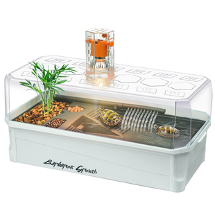 乌龟缸带晒台生态别墅饲养缸巴西龟家用小型塑料鱼缸养龟造景箱