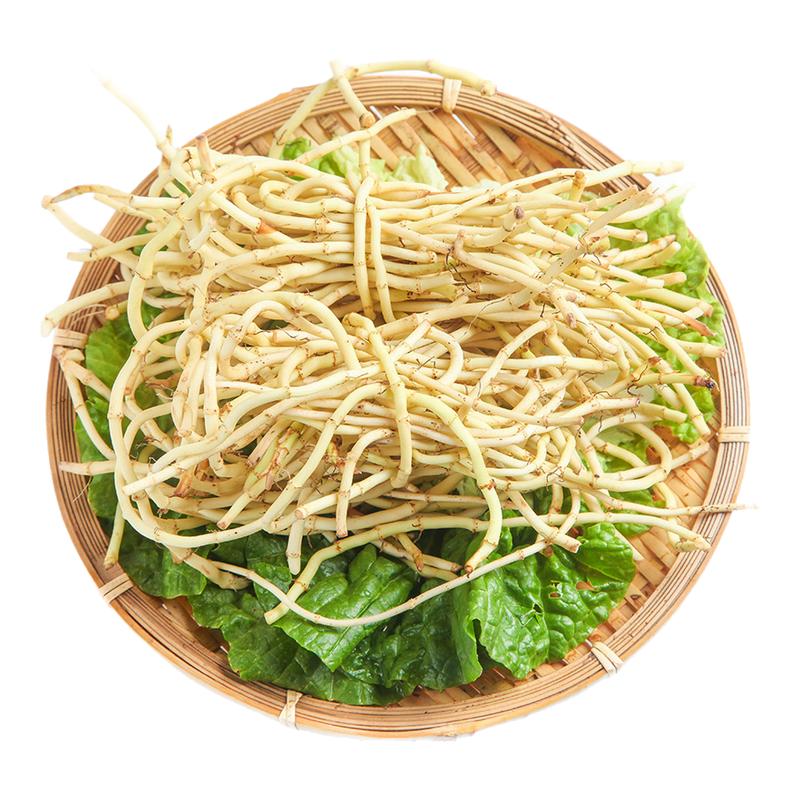 新鲜脆嫩折耳根新鲜蔬菜节节根鱼腥草根带叶凉拌侧耳根猪鼻孔包邮
