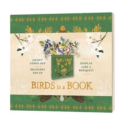 英文原版 Birds In A Book Uplifting Editions 创意鸟笼活动书 英文版 进口英语原版书籍