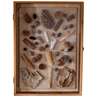 干花标本相框实木立体中空相框空框DIY挂墙面装饰收藏收纳展示框