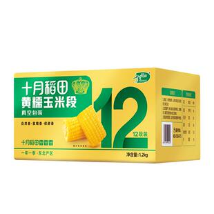 十月稻田黄糯玉米段健康低脂软糯香甜新鲜免切东北玉米真空包装