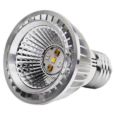 乌龟晒背灯uvauvbled补钙爬虫