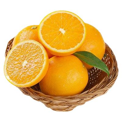正宗江西赣南脐橙新鲜现摘橙子